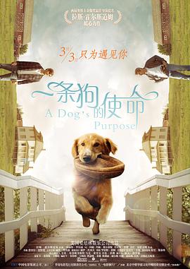 久久精品视频3