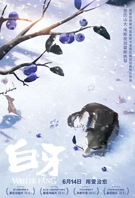 播播资源