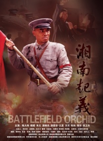国产一区二区综合